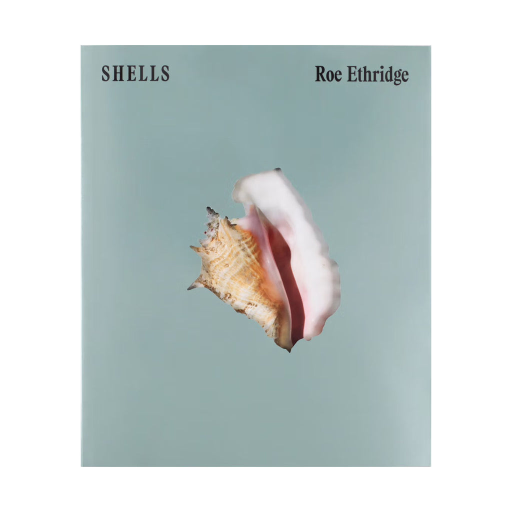 Shells - signed