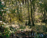 Blood Green - signed copy