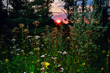 You Are What You Do - signed copy