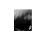 RADIUS - signed copy