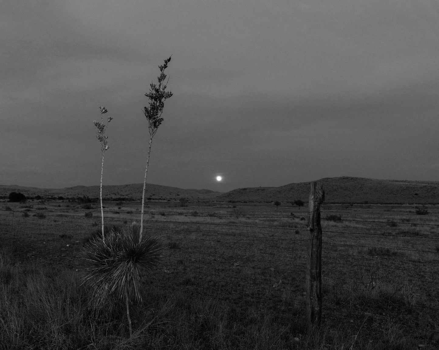 West Texas Moonrise, 2020 by Bryan Schutmaat