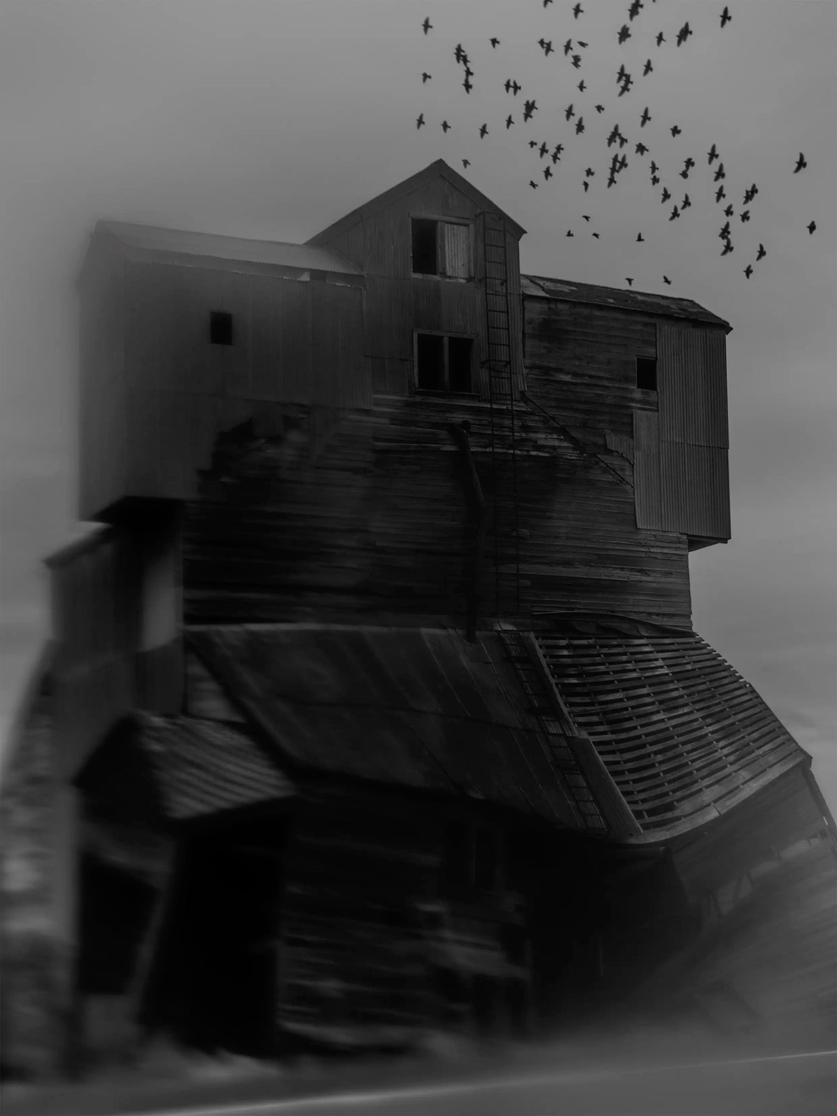 Grain Elevator, Palouse (2025) — Delaney Allen
