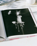 Flowers Drink the River