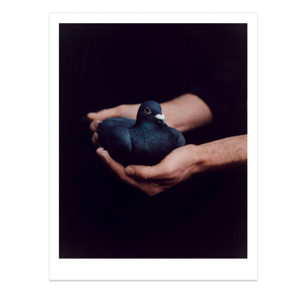 Black Stone Burns - Special edition