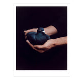 Black Stone Burns - Special edition