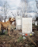 The Unknown - signed copy