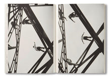 Load image into Gallery viewer, Series, first edition