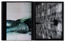 100 Bilder - signed copy