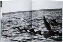 Taratine signed copy