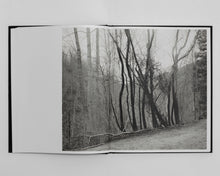 Jasper Special Edition