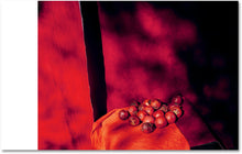 Who is Changed and Who is Dead  - signed