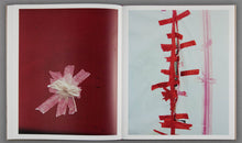 PAINTINGS - signed copy