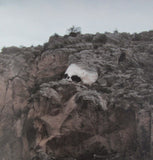 The Afronauts - first edition