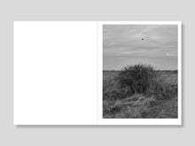 THIS LAND - signed copy