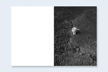 One Picture Book Two #16 : Cats - signed