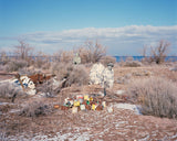 Suicidal Birds - signed copy