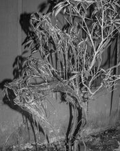 Attention Servicemember