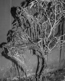 Attention Servicemember