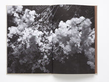 Sol & Luna - signed copy