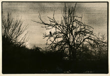 Scratchy Days - signed