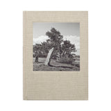 Halland - special edition