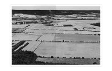 This Soil We Have Created For Ourselves - special edition