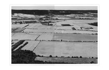 This Soil We Have Created For Ourselves