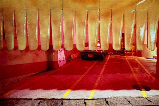 Nagasaki Love Hotel by Greg Girard