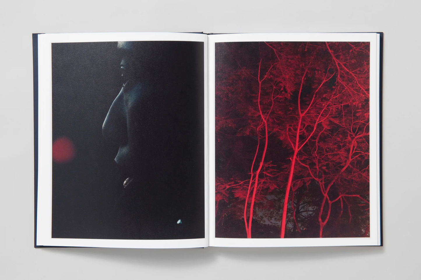 Approximate Joy [Signed]