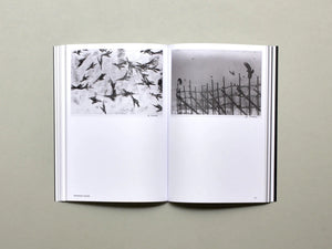 Hotshoe, Issue 209: An Emotional Landscape