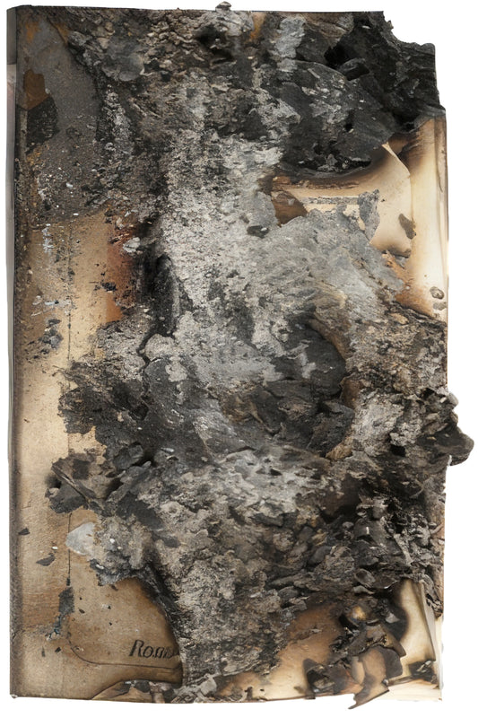 Fahrenheit 451