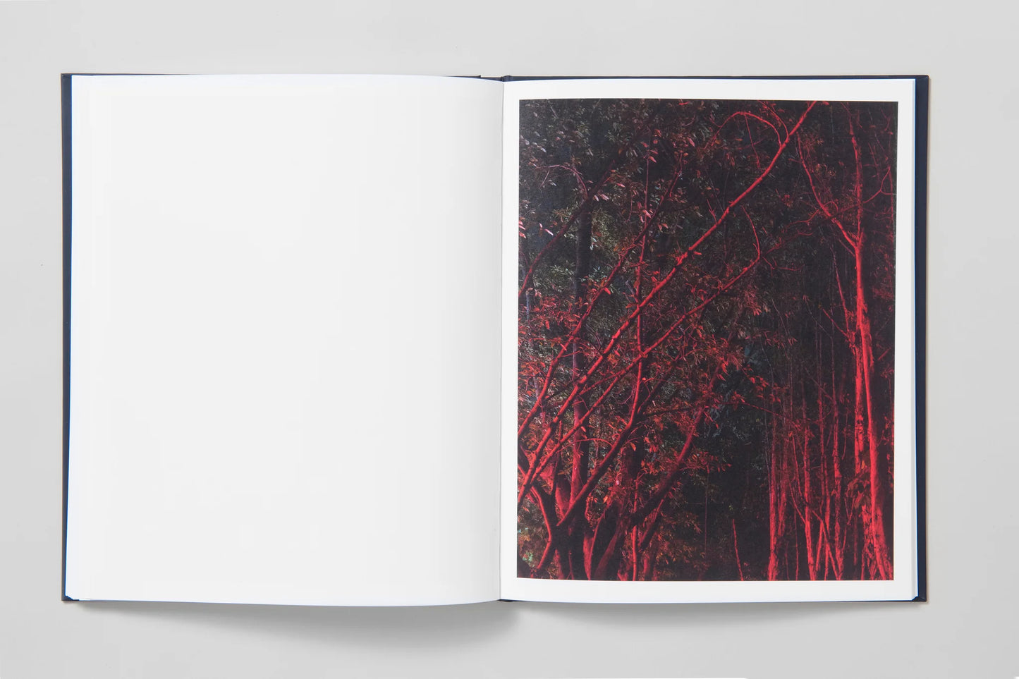 Approximate Joy [Signed]