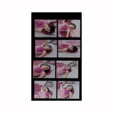 Pink - special edition