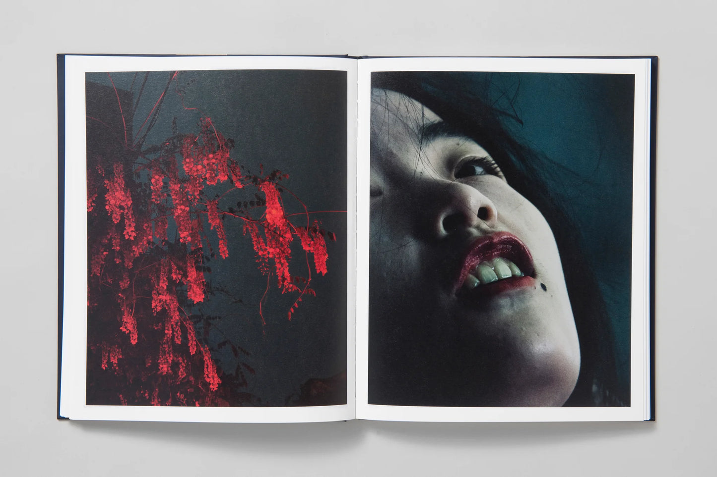 Approximate Joy [Signed]