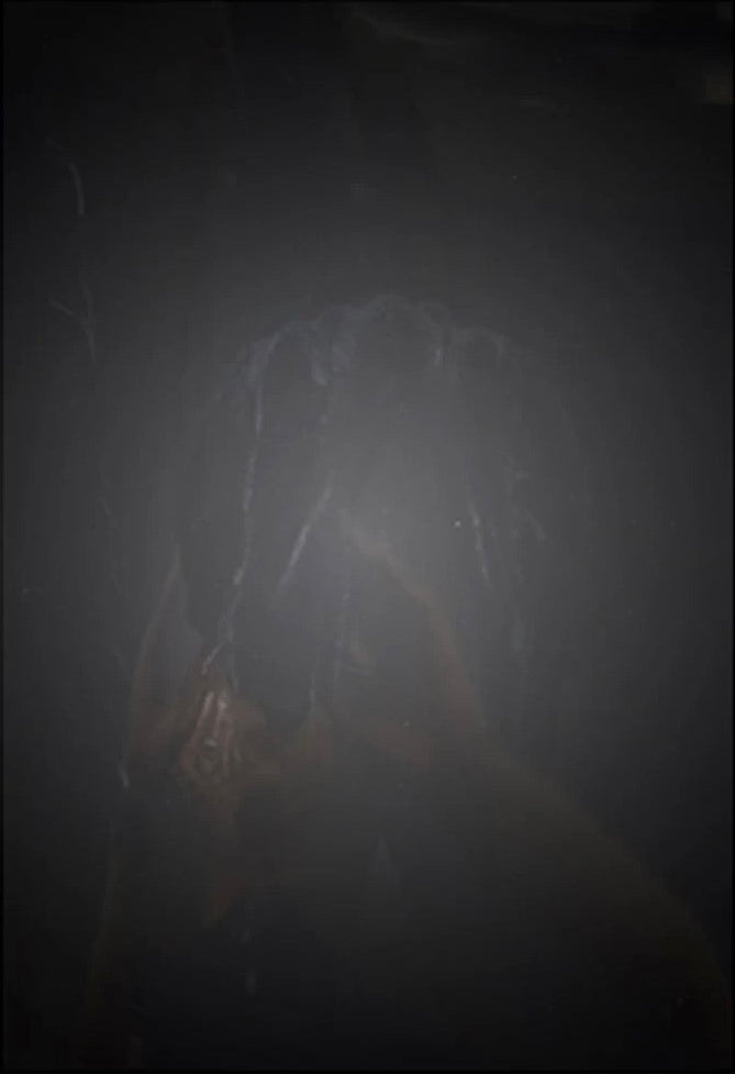 White Night, First edition [Signed]