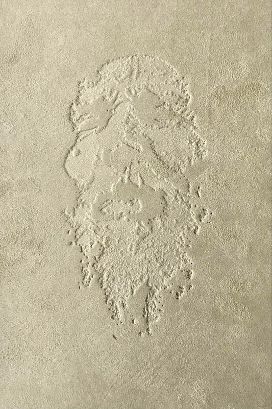 Moshé