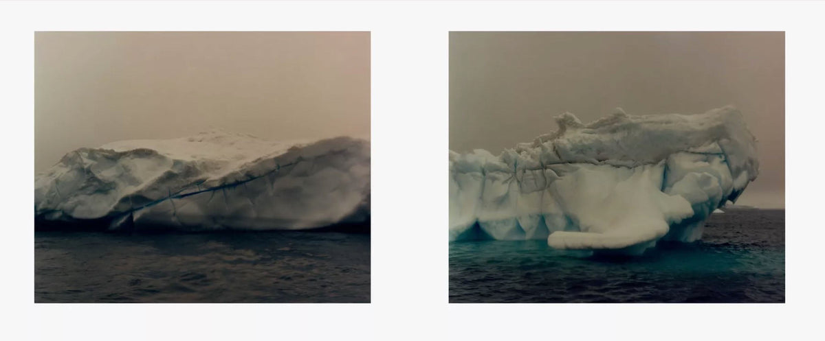 To The Antarctic [Signed]