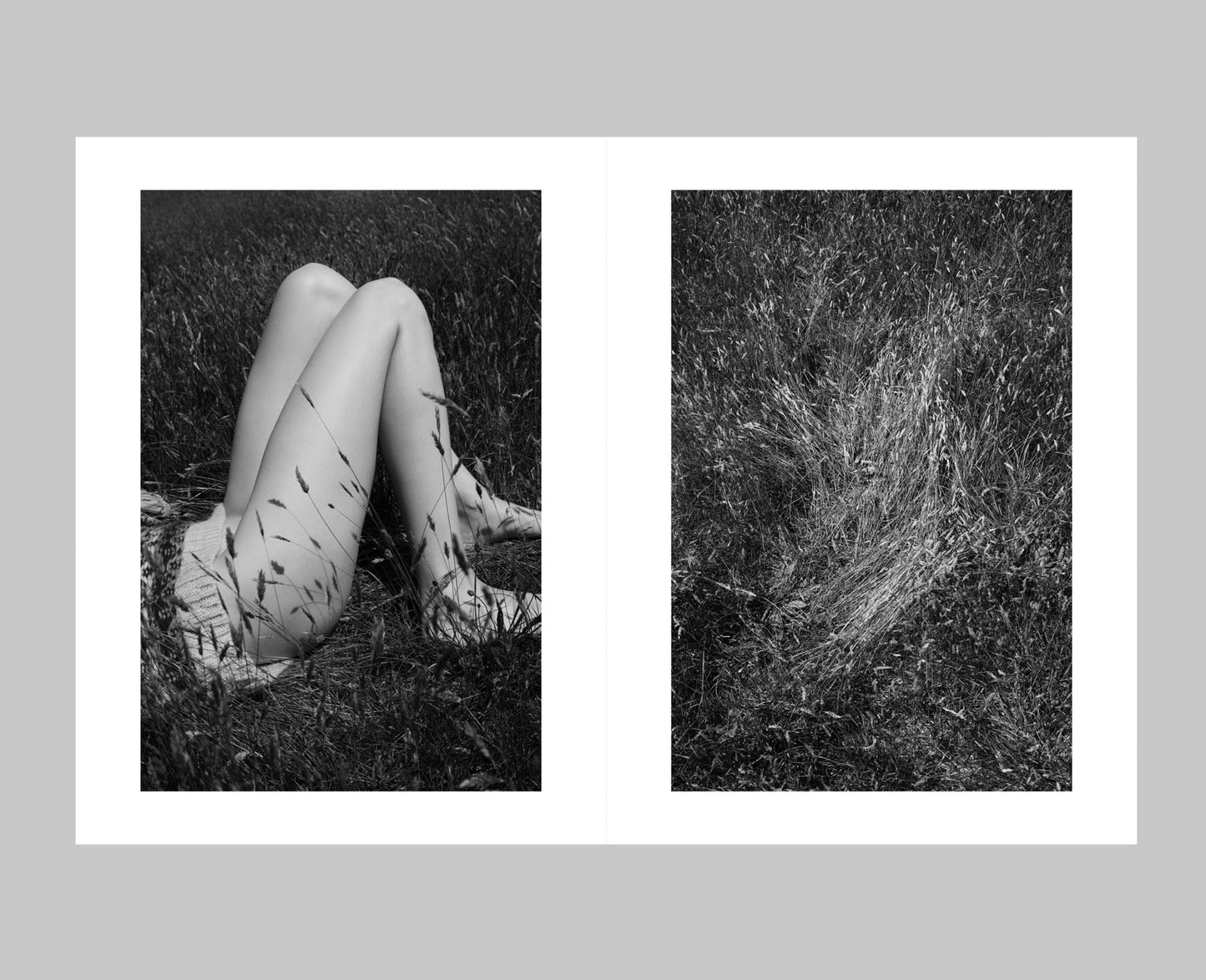 Sol & Luna [Signed]