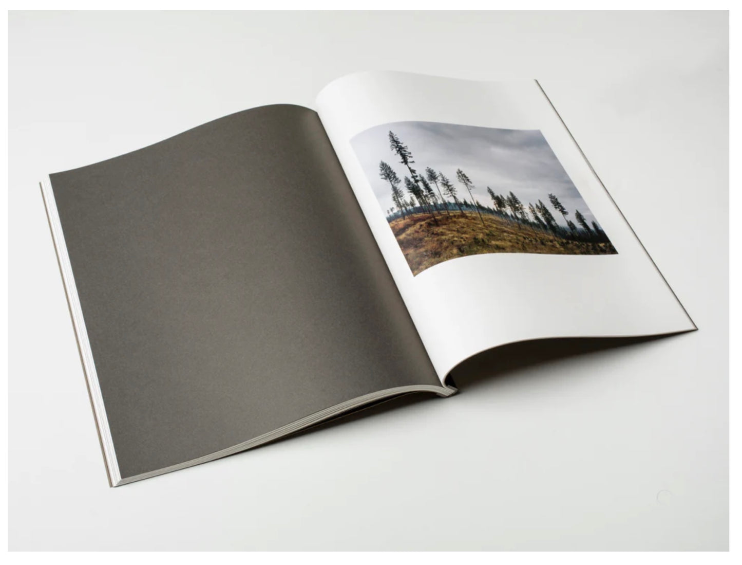 Grays the Mountain sends - First edition [Signed]
