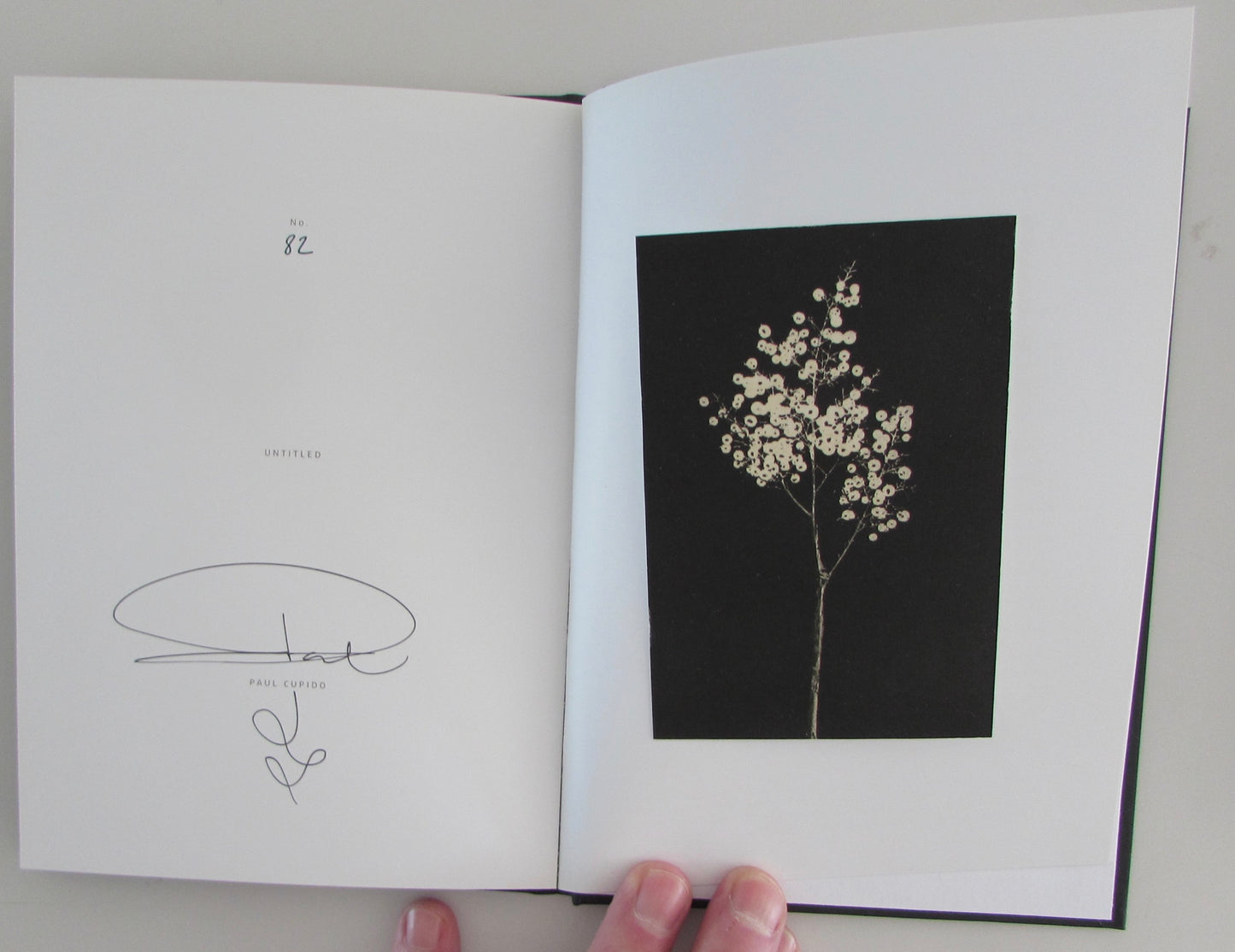 Senses [Signed]