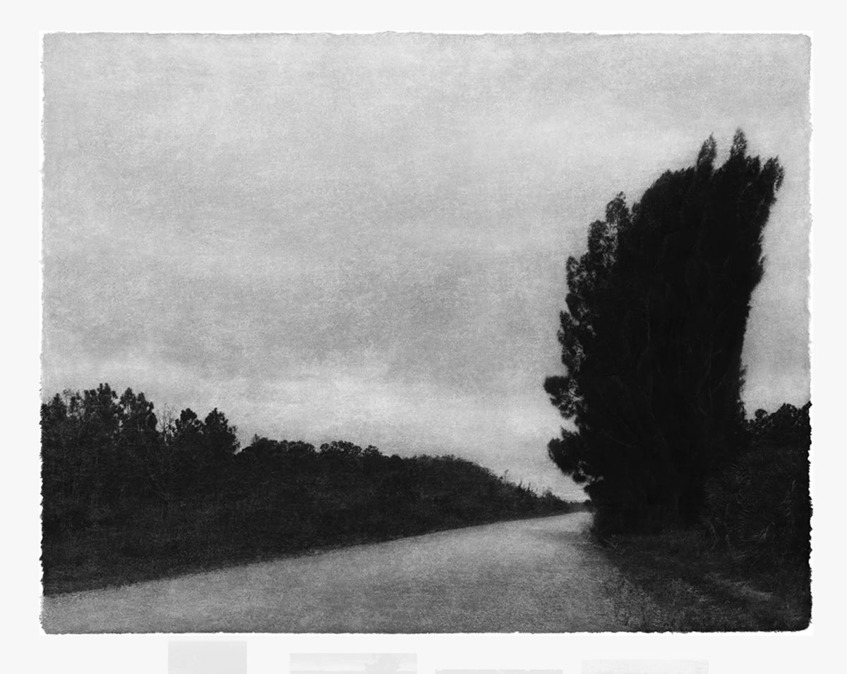Everglades- signed