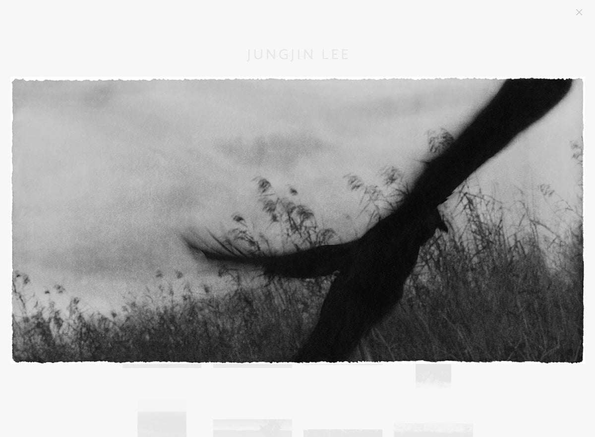 Everglades- signed