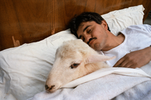 Spanish Colour 1985-2020