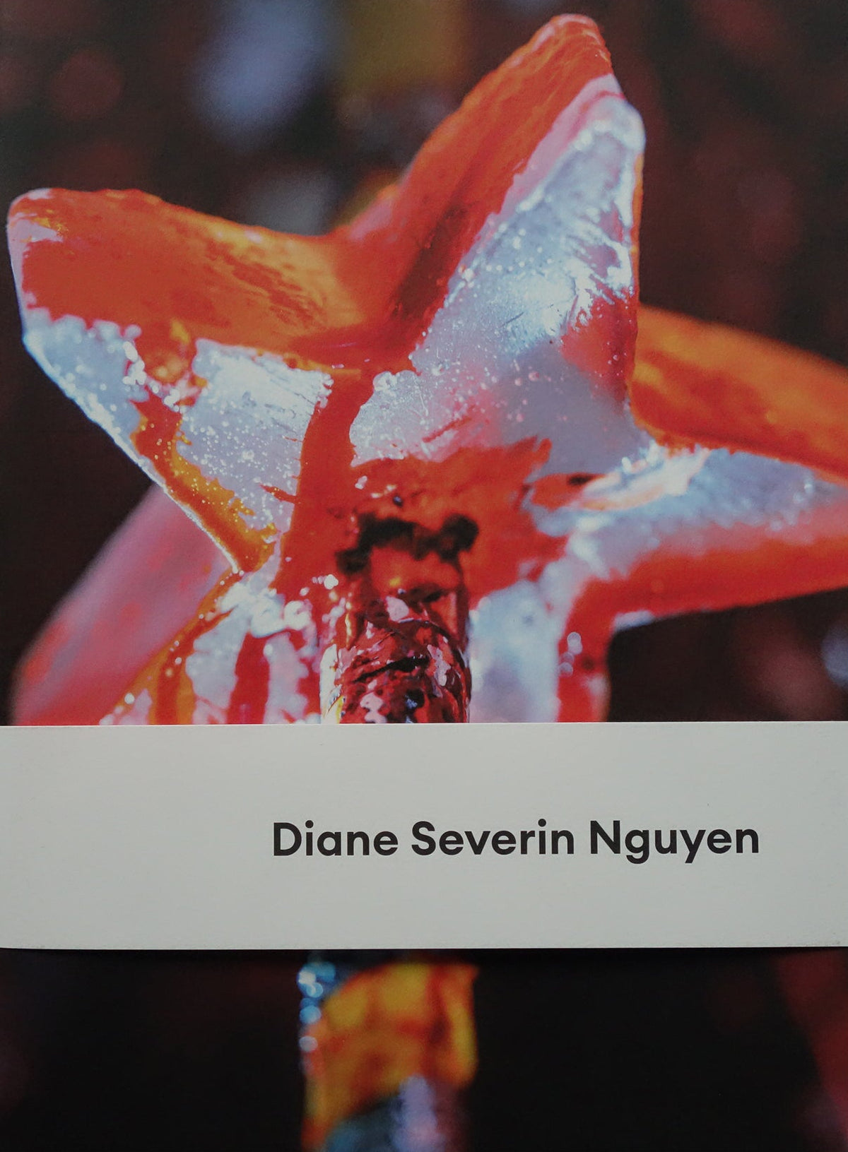 Diane Severin Nguyen