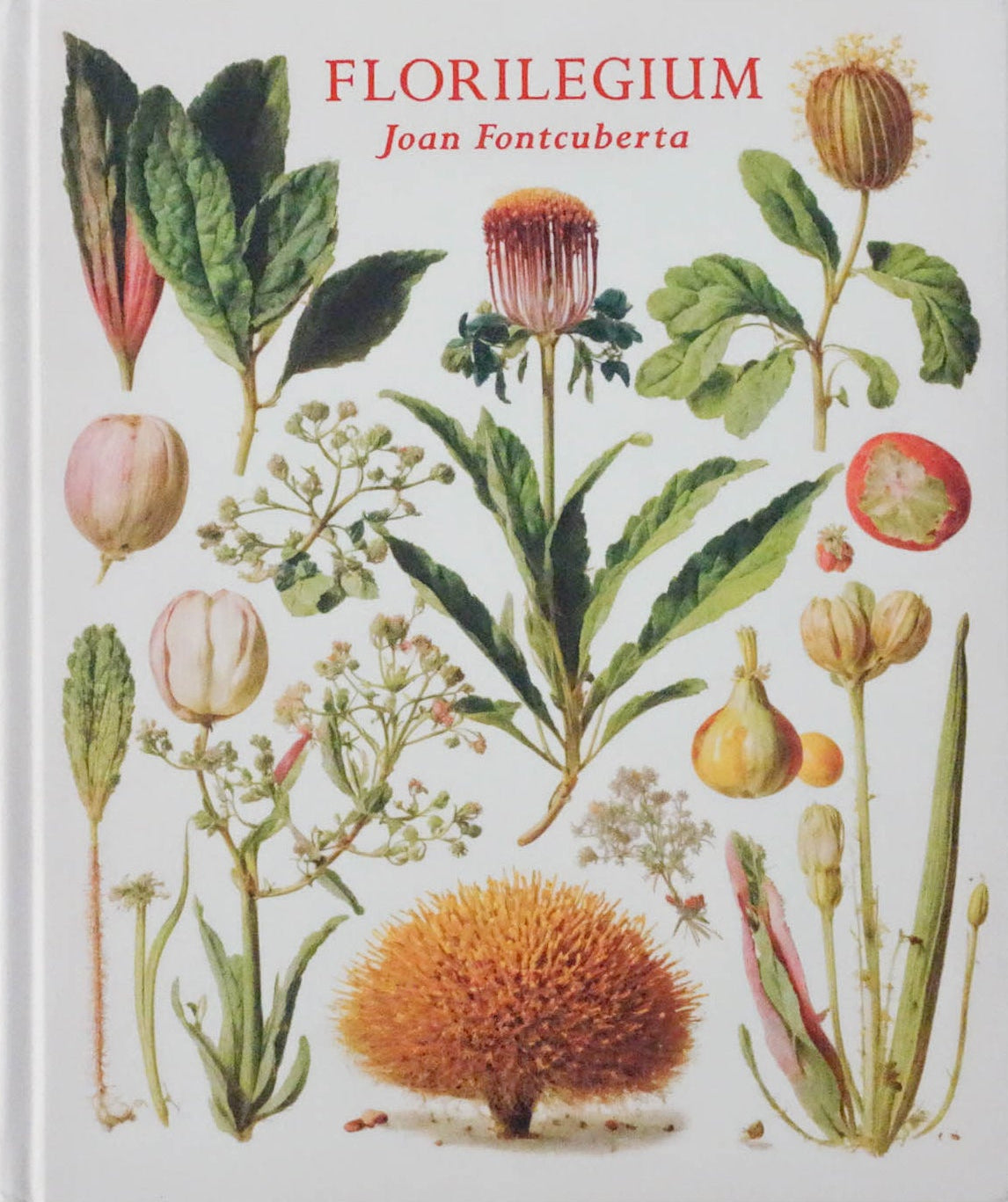 Florilegium [Signed]