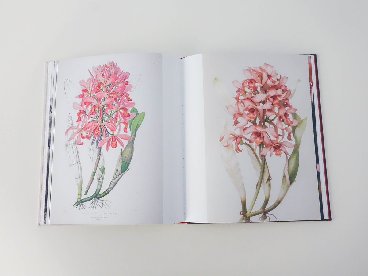 Florilegium [Signed]
