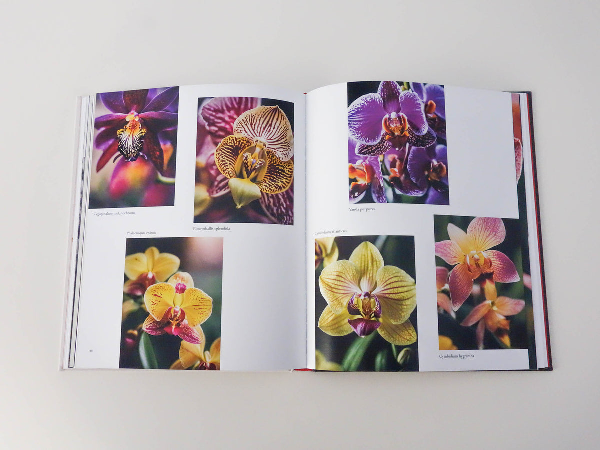 Florilegium [Signed]