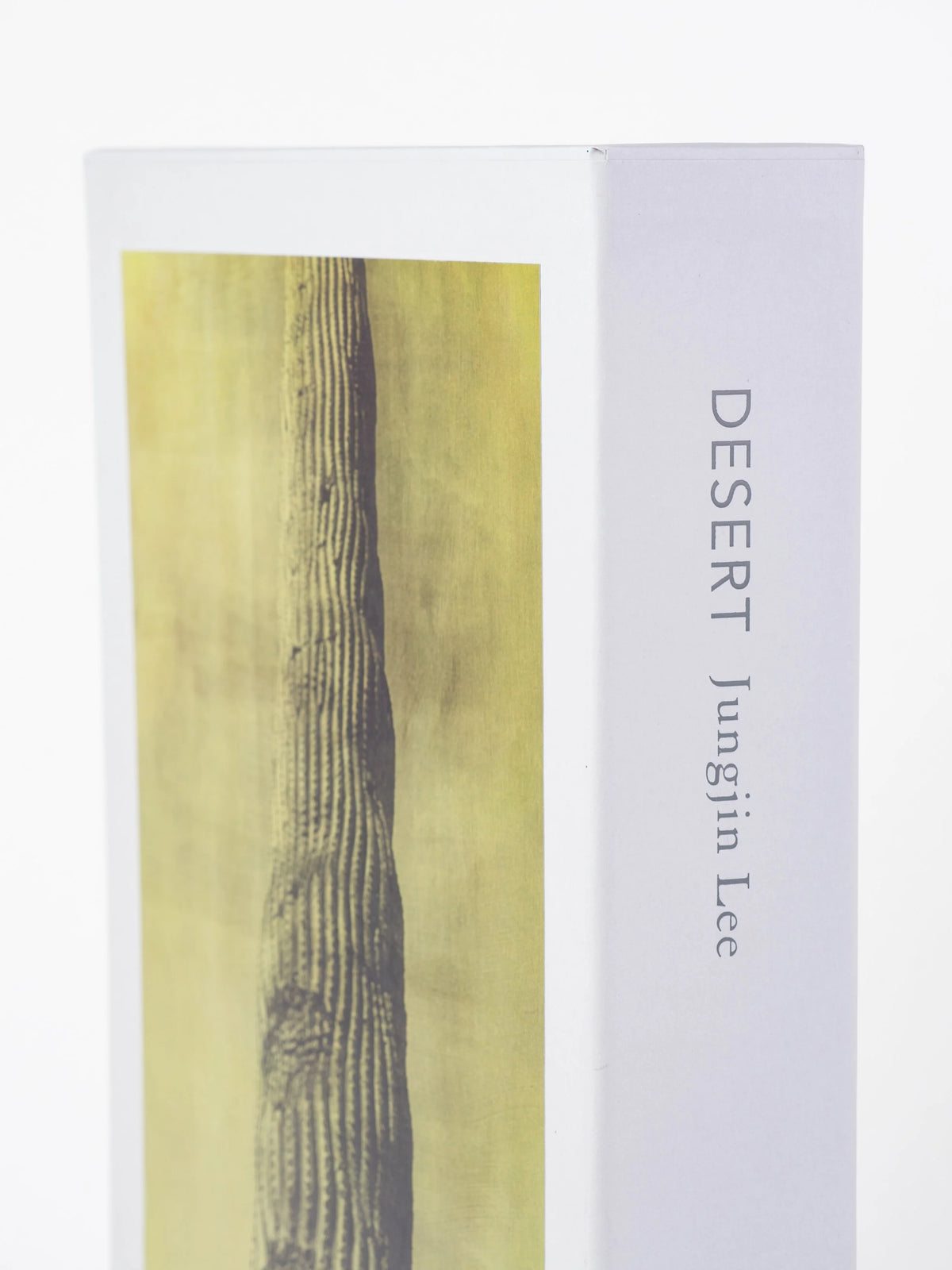 Desert [Signed]
