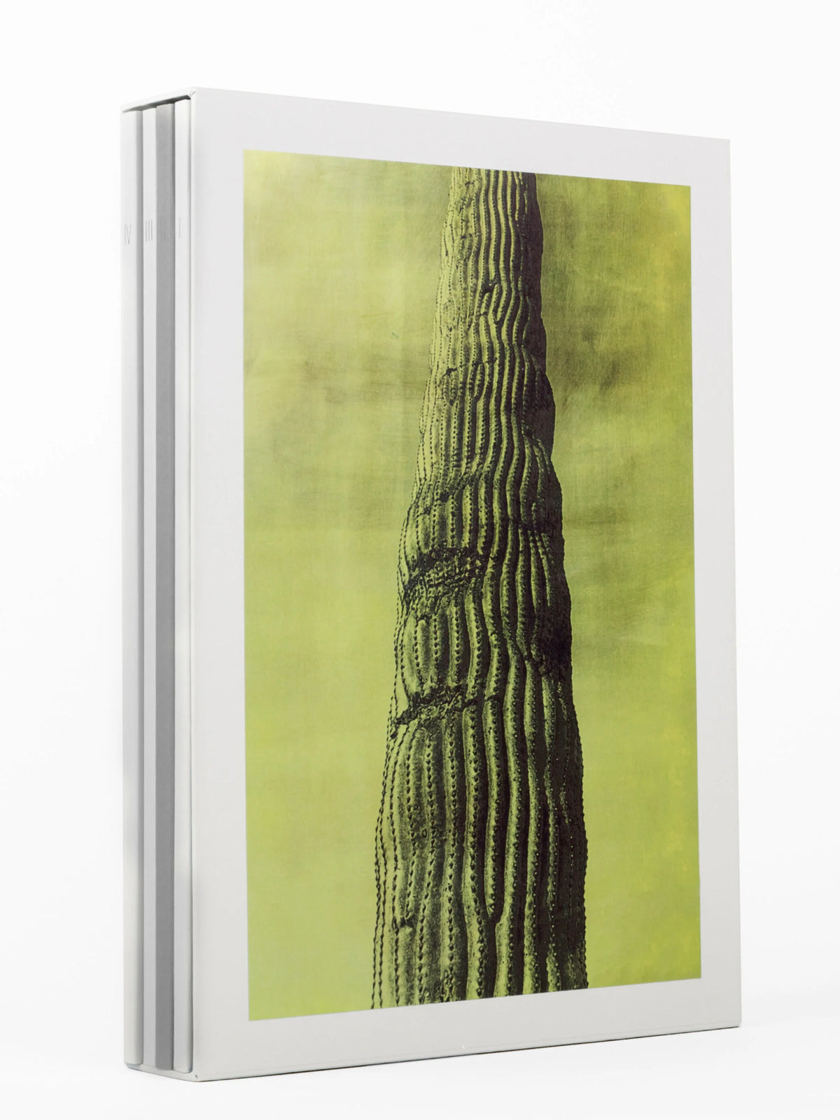 Desert [Signed]