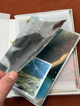 Division and Connection SP Edition